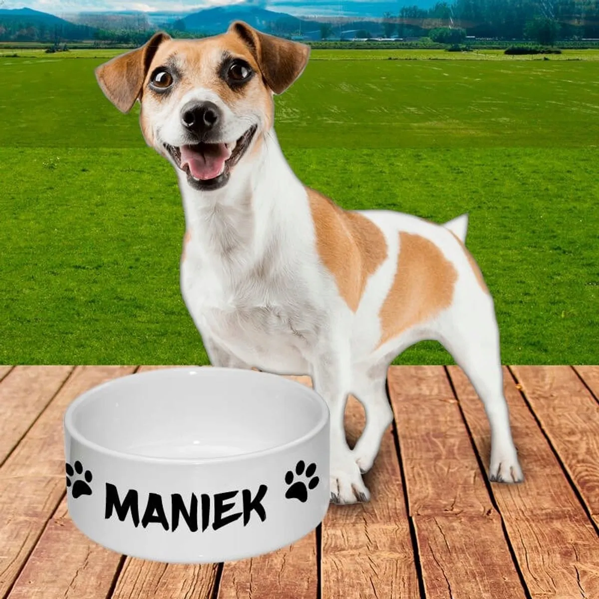 Trixie Keramische Honden- en Kattenbak 18cm - Wit