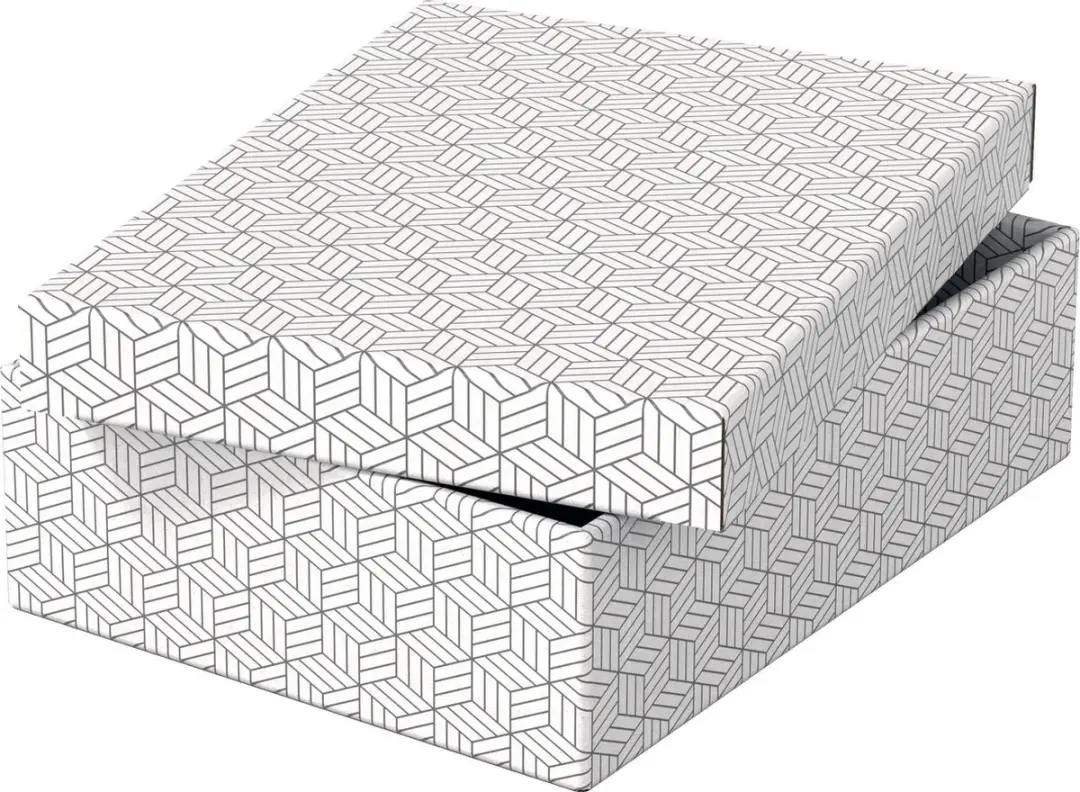 Esselte Home Opbergdoos M