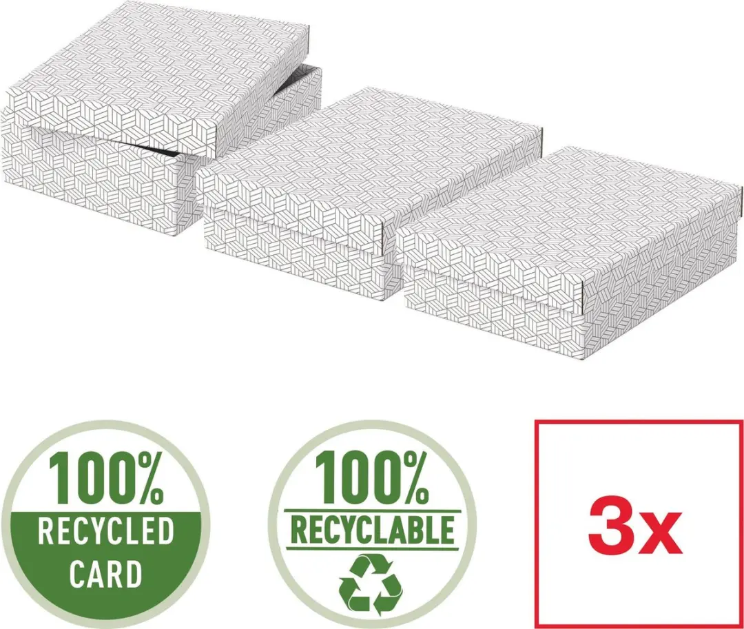 Esselte Home Opbergdoos M - 3 Stuks - 9,5l - afbeelding 4 van 5