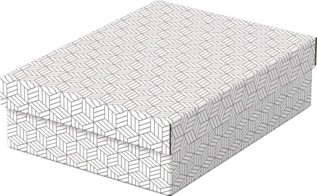 Esselte Home Opbergdoos M - 3 Stuks - 9,5l - afbeelding 3 van 5
