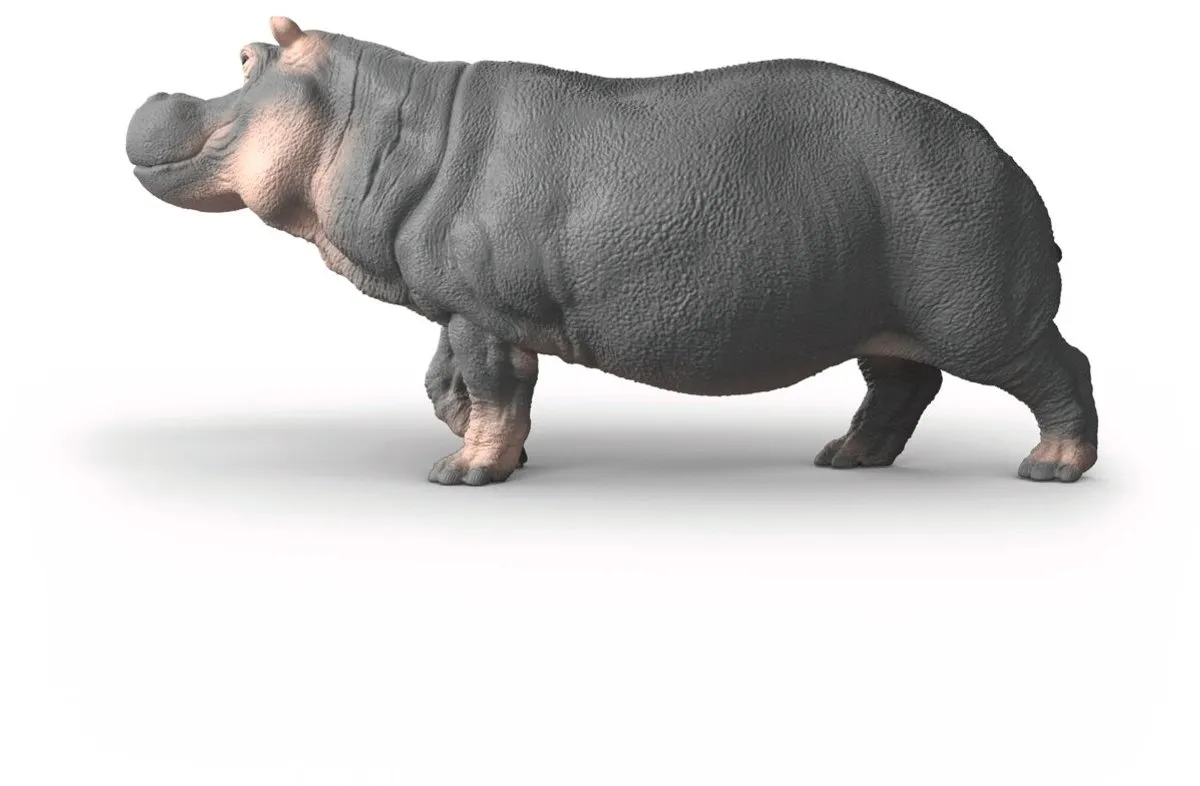 Schleich Wild Life Nijlpaard 14938 - Meerkleurig