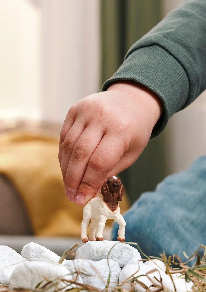 Schleich Farm World Boerbokje 14930 - Meerkleurig