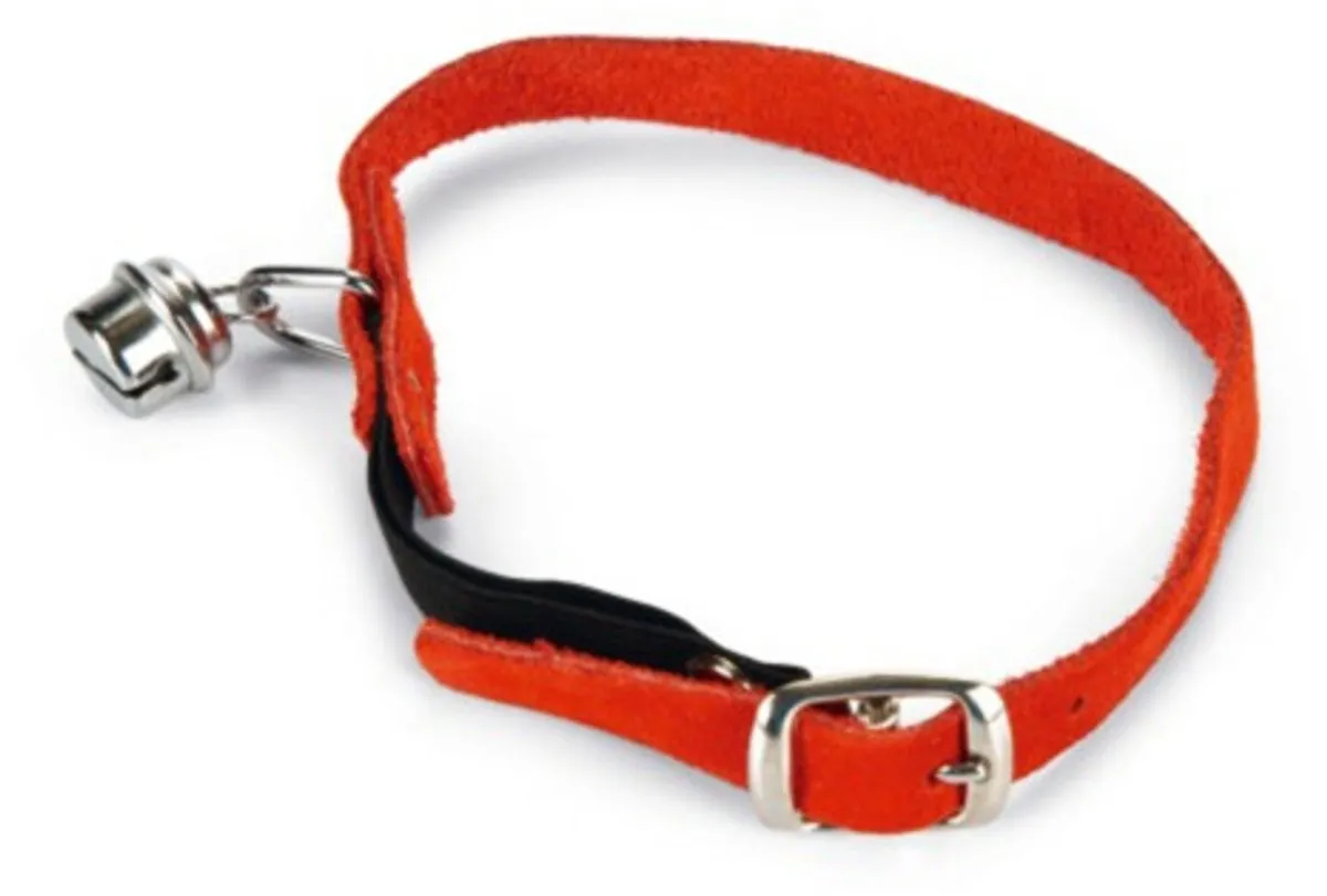 Beeztees Kattenbandje Suede - Rood