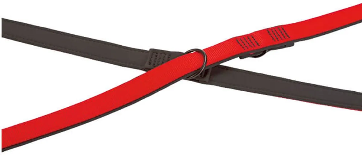 Beeztees Parinca Dressuurlijn - 200cm x 25mm Rood