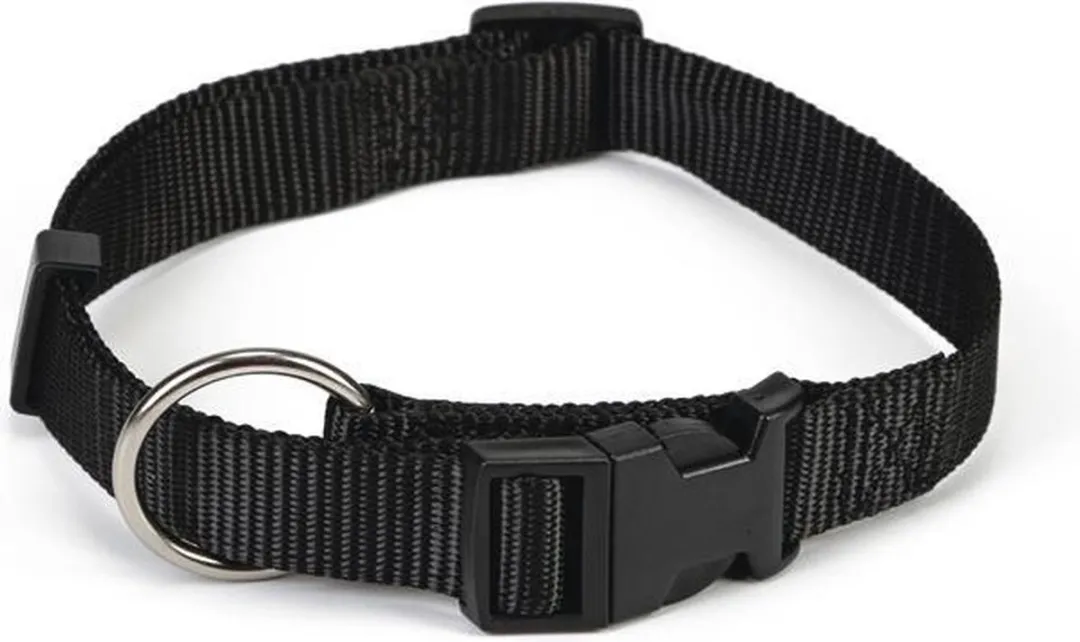 Beeztees Halsband Hond