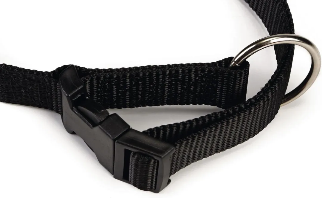 Beeztees Halsband Hond - Zwart - 35-55cm x 20mm