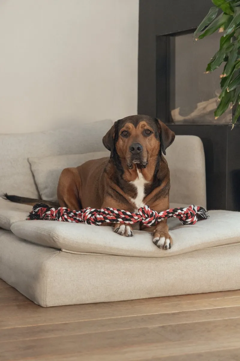 Beeztees Bino Flostouw - 4 Knopen 100cm XXL Multi