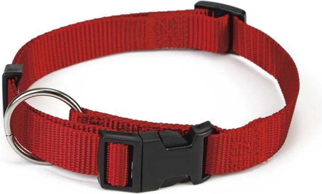 Beeztees Halsband Hond Rood 40-65cm x 25mm