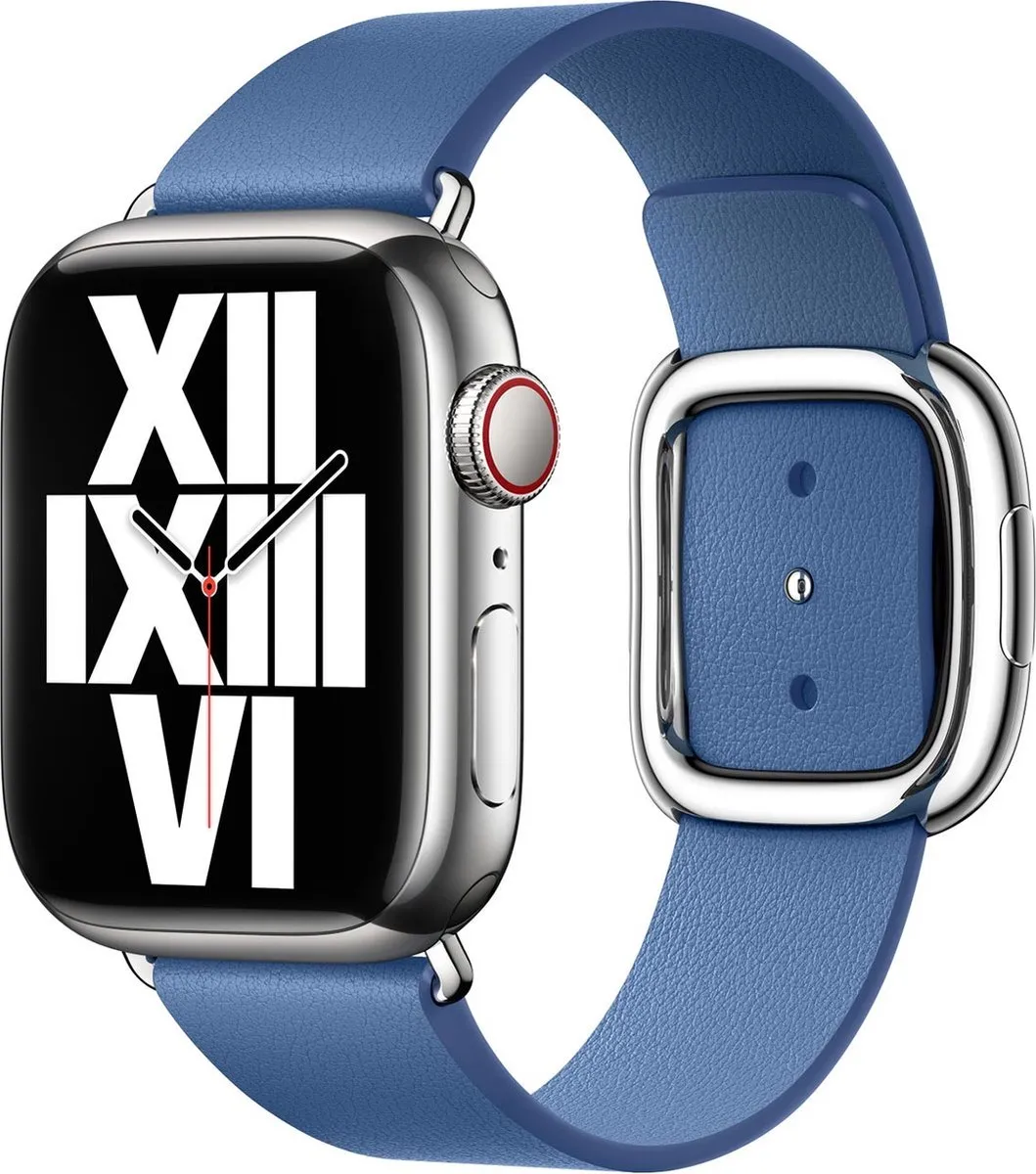 Apple Modern Buckle Apple Watch