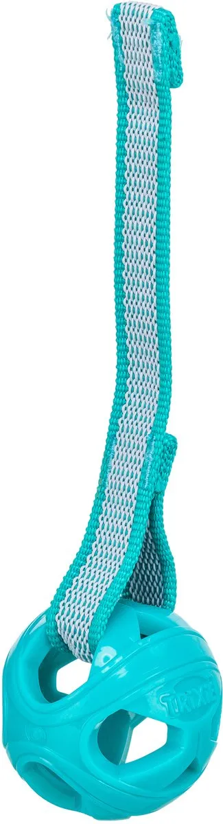 Trixie Honingraat Bal Aan Touw 6x23cm