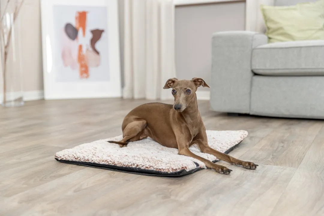 Trixie Ligmat Calida - 100x65cm - Wit/Bruin