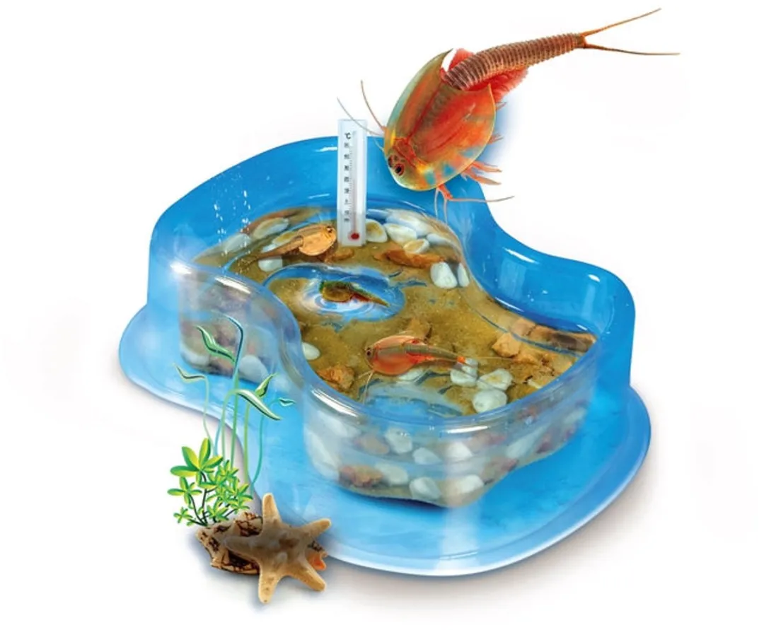 Clementoni Galileo Original Triops Starter-Set 59259 - Multicolor - afbeelding 5 van 6