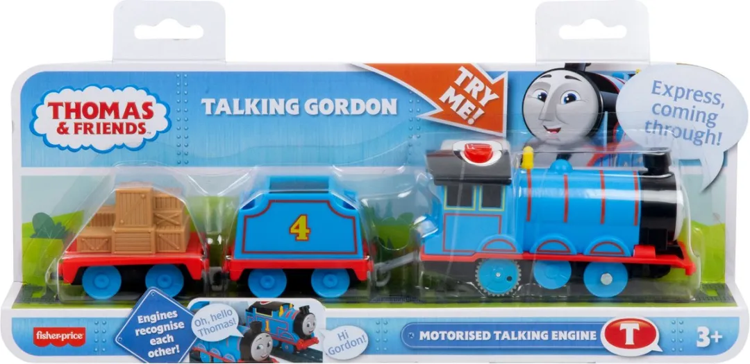 Fisher Price Thomas & Friends Talking Gordon Trackmaster HWY29