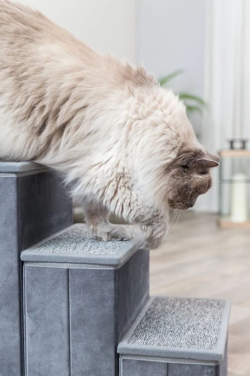 Trixie Trap Met Opbergruimte - Grijs