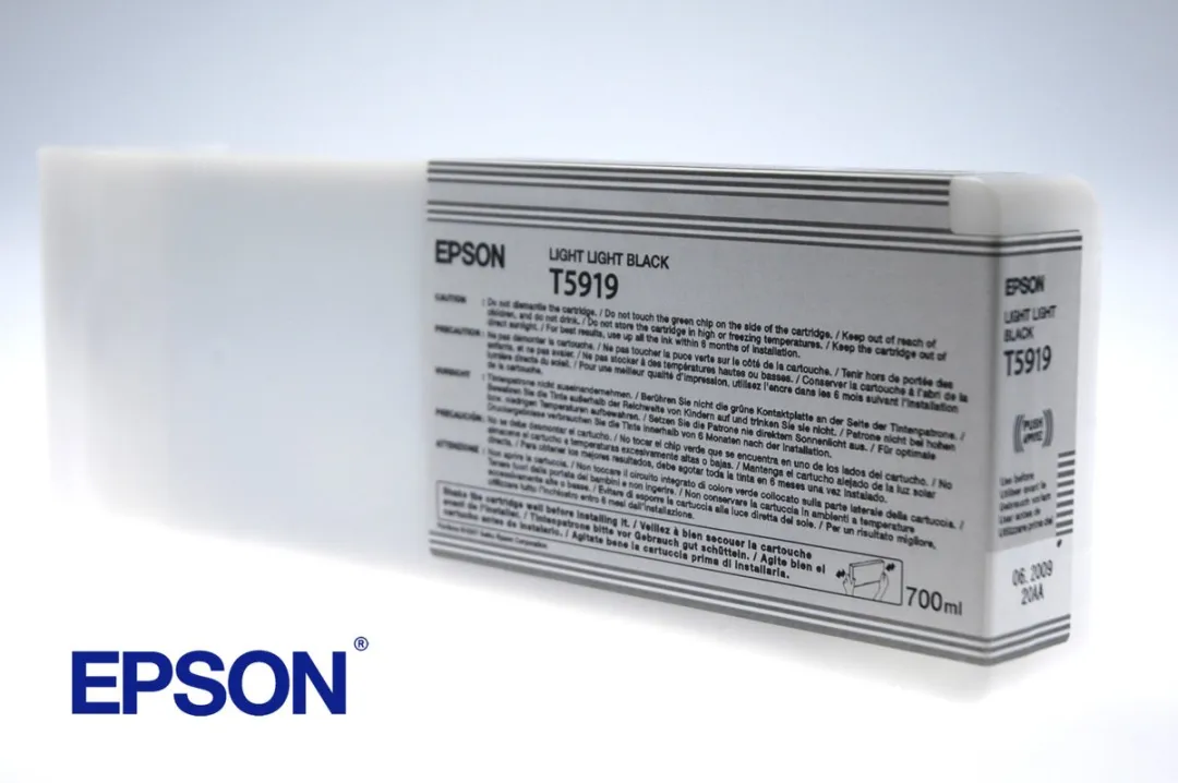 Epson T591900 Inktcartridge Foto Licht Zwart - 700ml