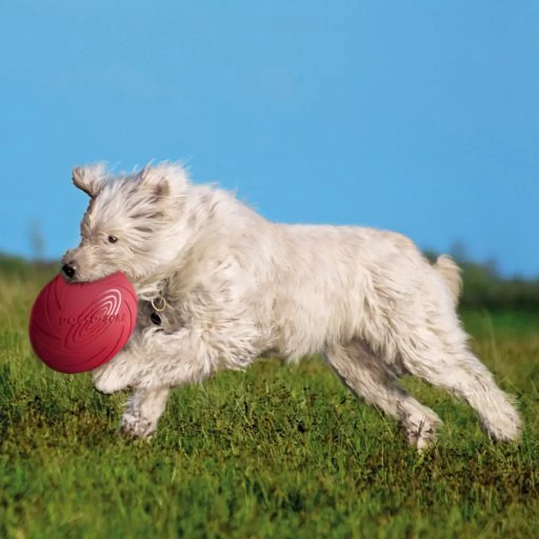Trixie Frisbee Dog-o-Soar Rubber - 22 cm - Blauw