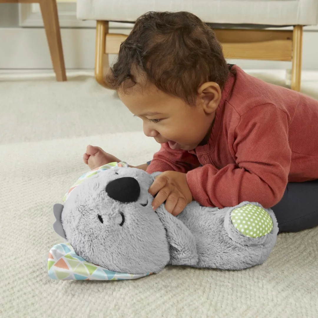 Fisher-Price Bedtijd Koala Knuffel