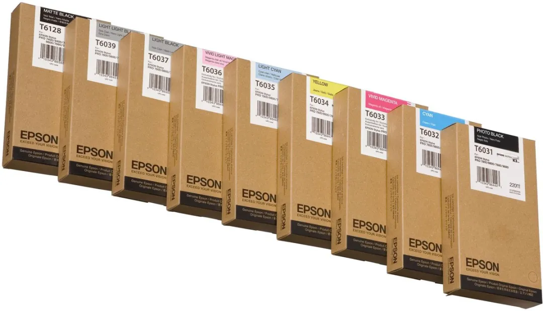 Epson T603900 Inktcartridge Licht Zwart
