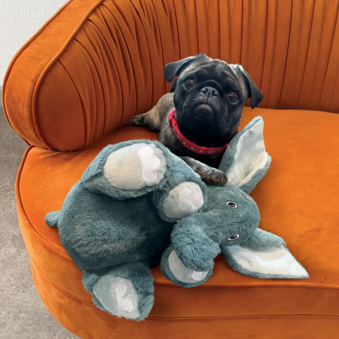 KONG Comfort Kiddos Jumbo Olifant - Blauw