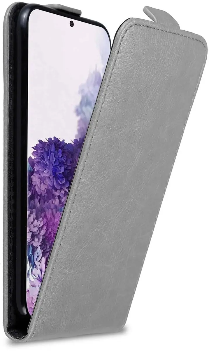 Cadorabo Hoesje geschikt voor Samsung Galaxy S20 in TITANIUM GRIJS