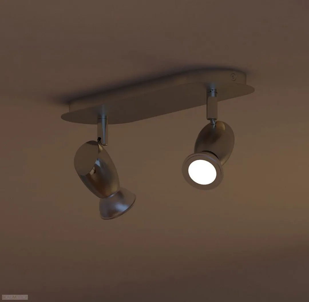 Philips myLiving Chestnut Plafondspots - 2x 4W Mat Chroom