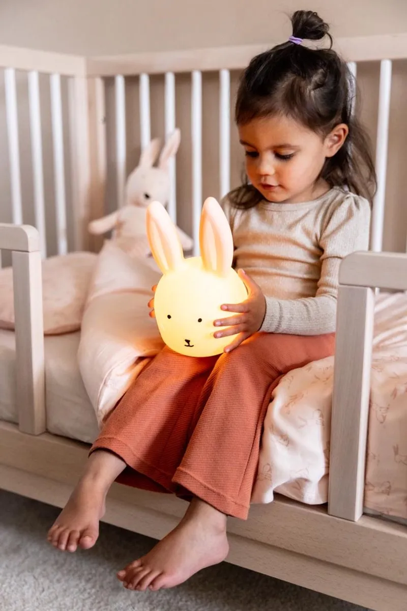 Trixie Nachtlamp Mrs Rabbit - Roze