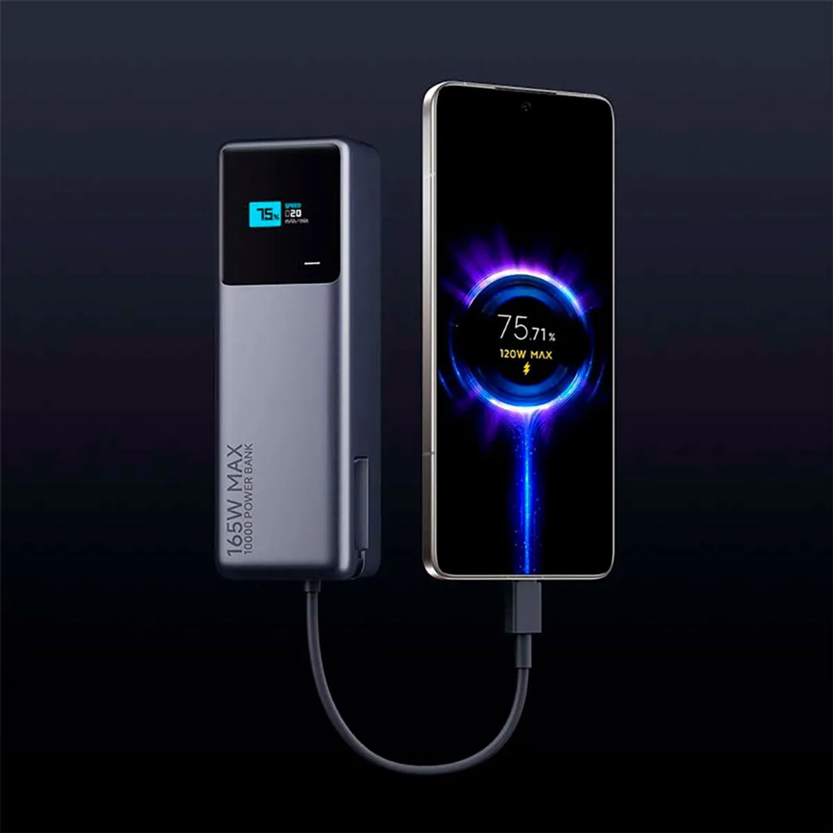 Xiaomi PB1165MI Powerbank 10000 mAh Li-ion Zilver