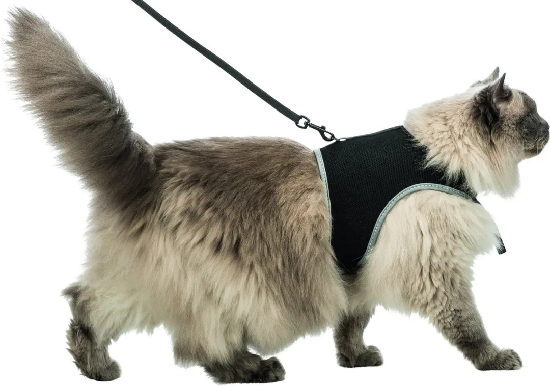 Trixie Soft Kattentuig - Zwart 1,2m