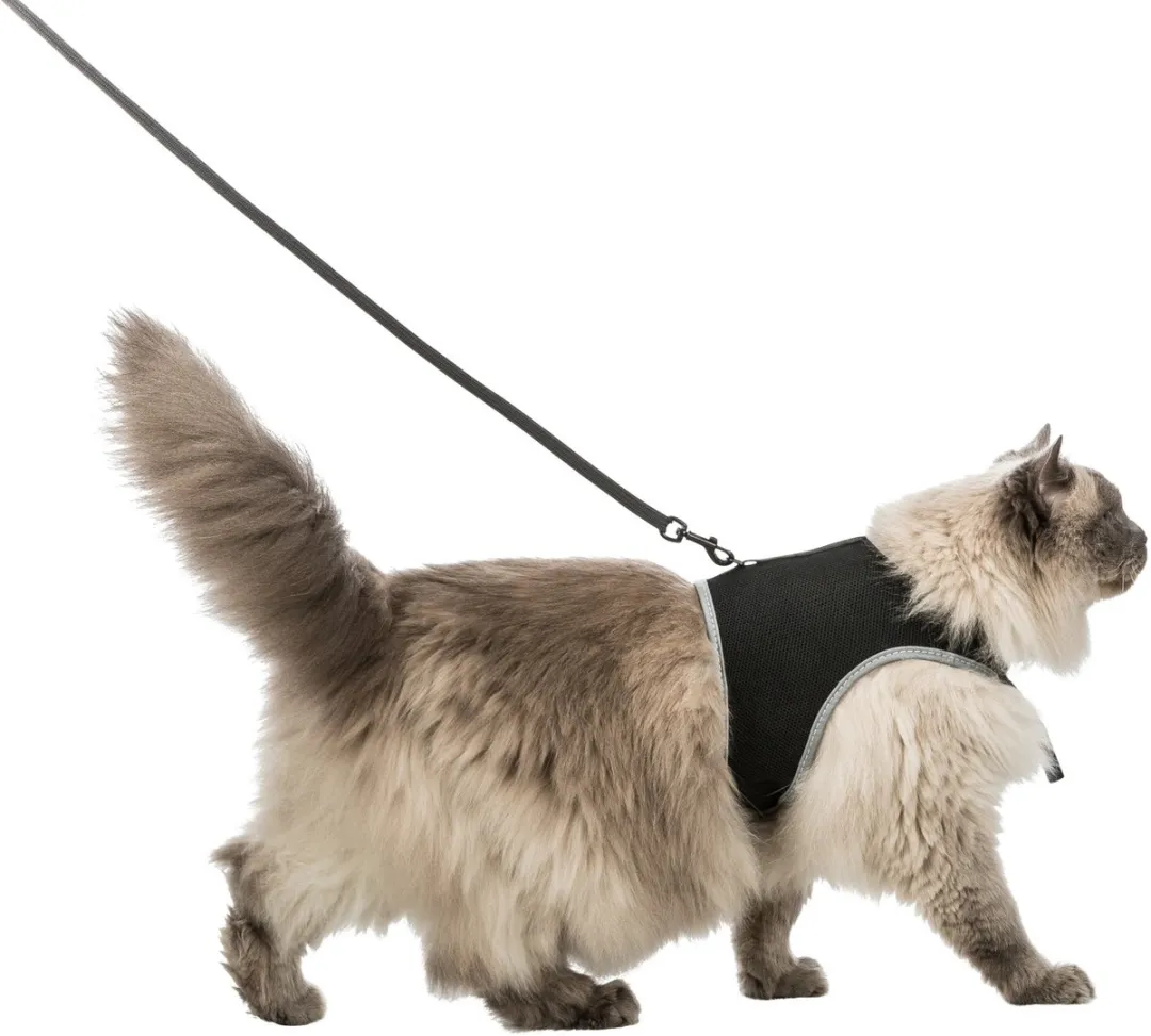 Trixie Soft Kattentuig - Zwart 1,2m - afbeelding 6 van 6
