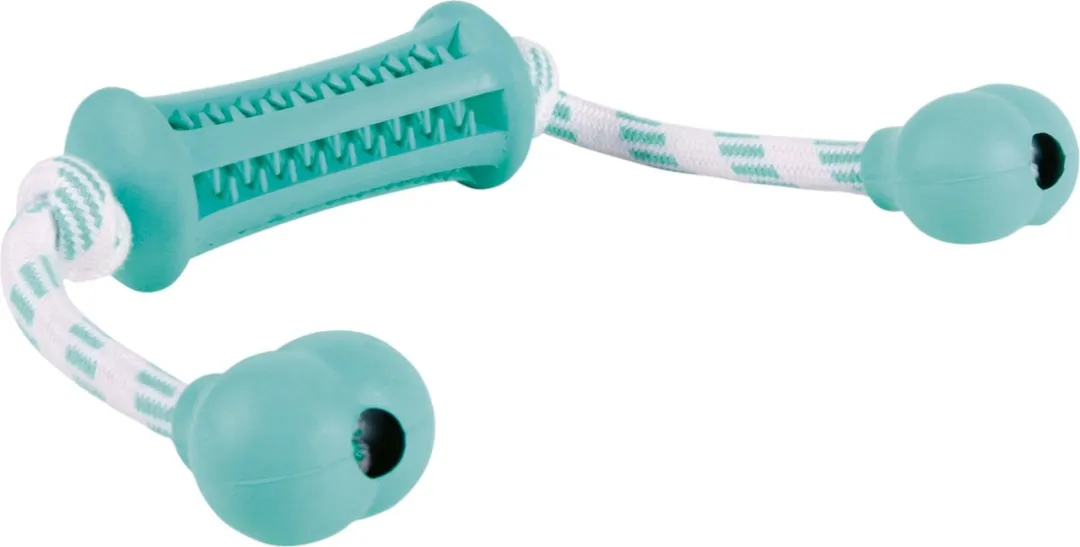 Trixie Denta Fun Natuurrubber Stick Mint 37x9cm
