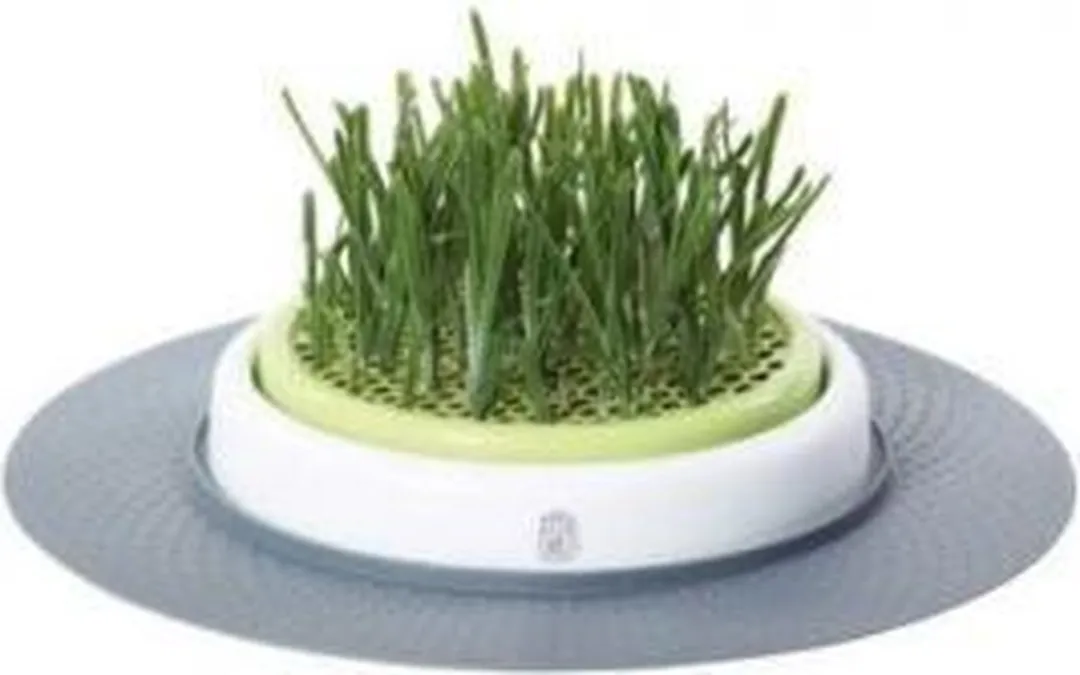 Catit Design Senses Grass Garden Kit Kattengras