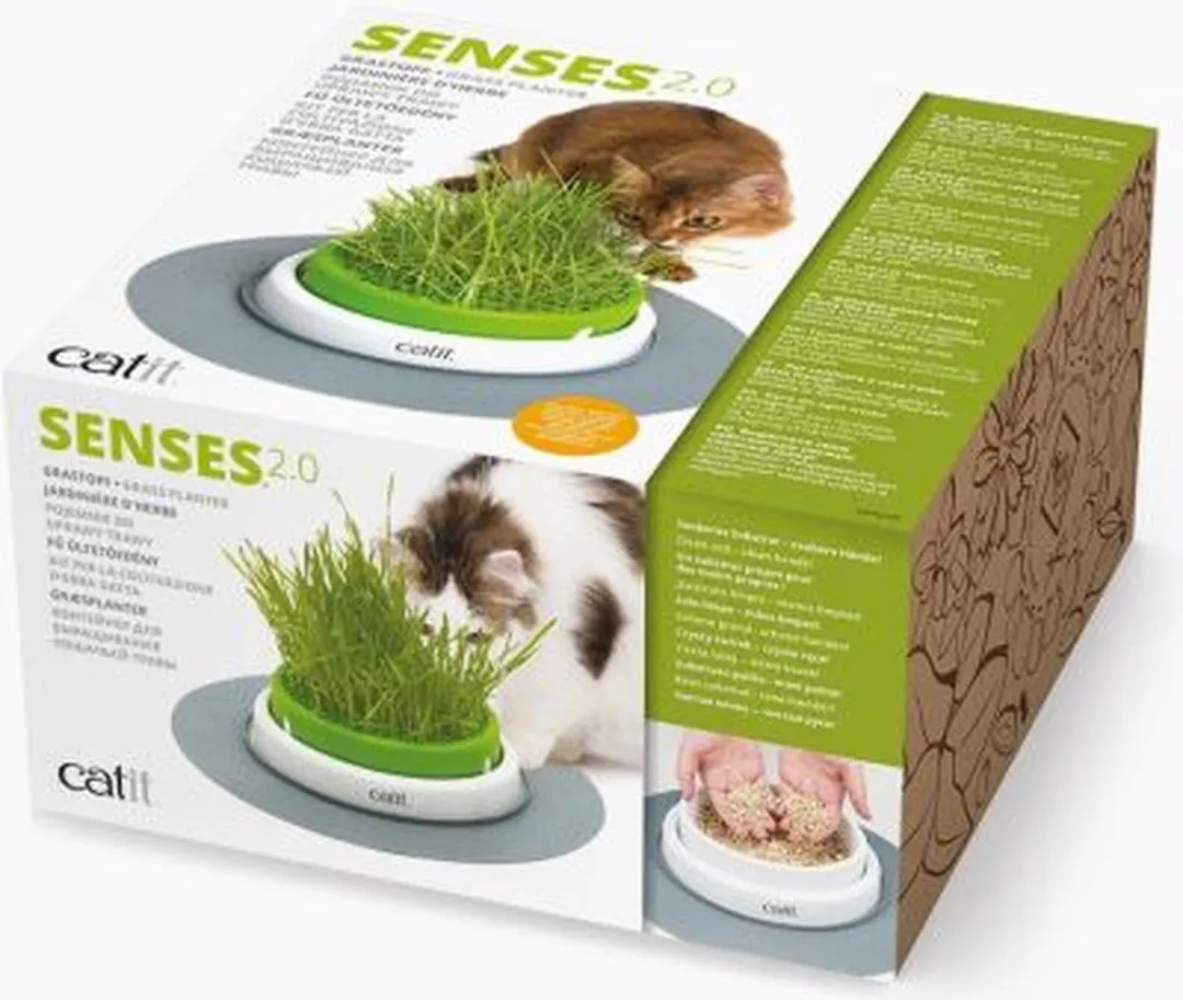 Catit Design Senses Grass Garden Kit Kattengras