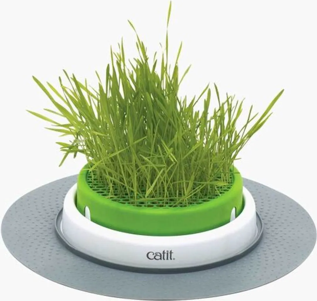 Catit Design Senses Grass Garden Kit Kattengras - afbeelding 6 van 6