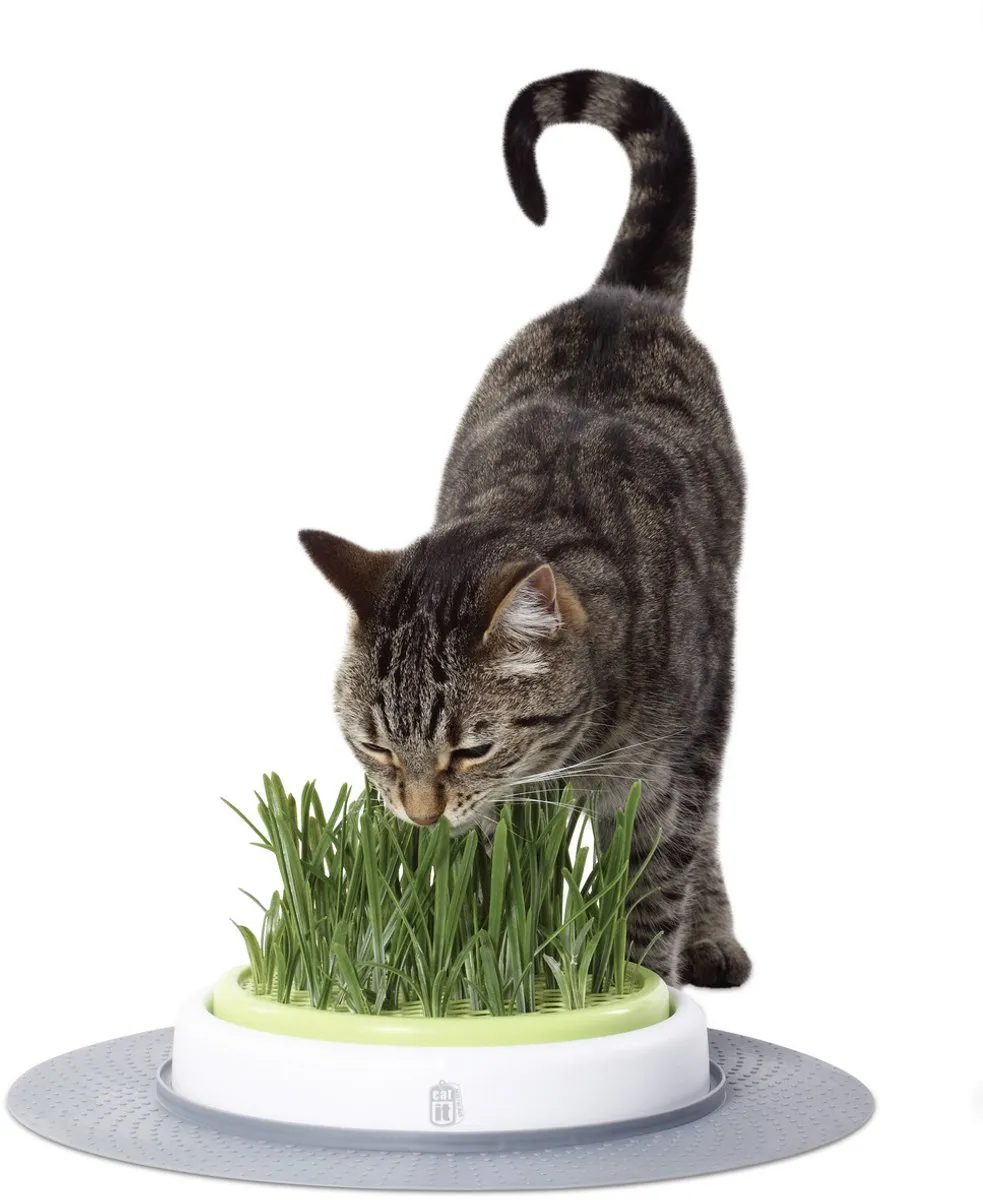 Catit Design Senses Grass Garden Kit Kattengras