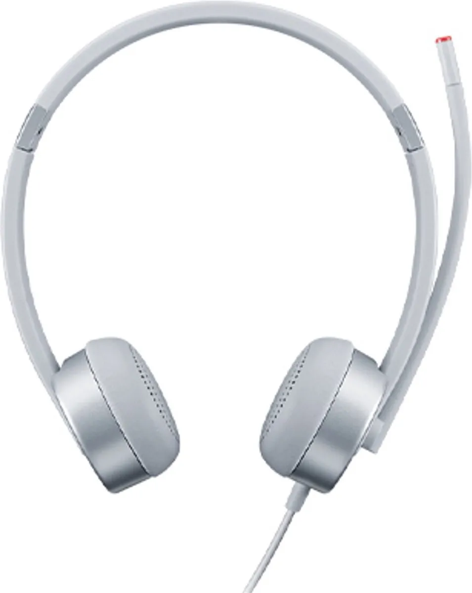 Lenovo 100 GXD1E71386 Headset