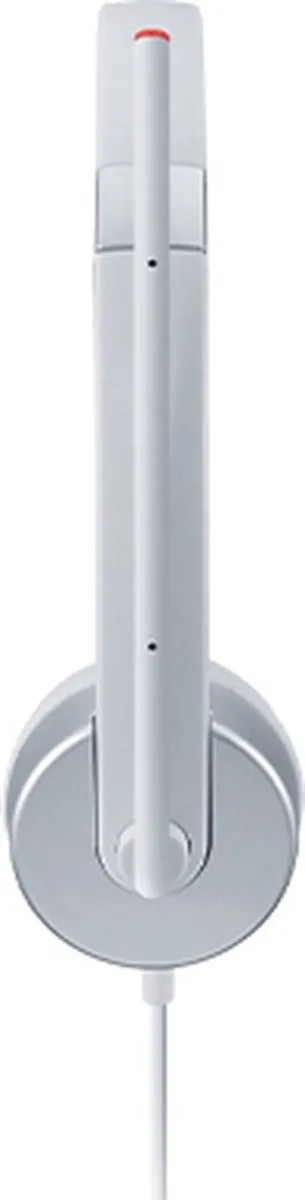 Lenovo 100 GXD1E71386 Headset - Zwart