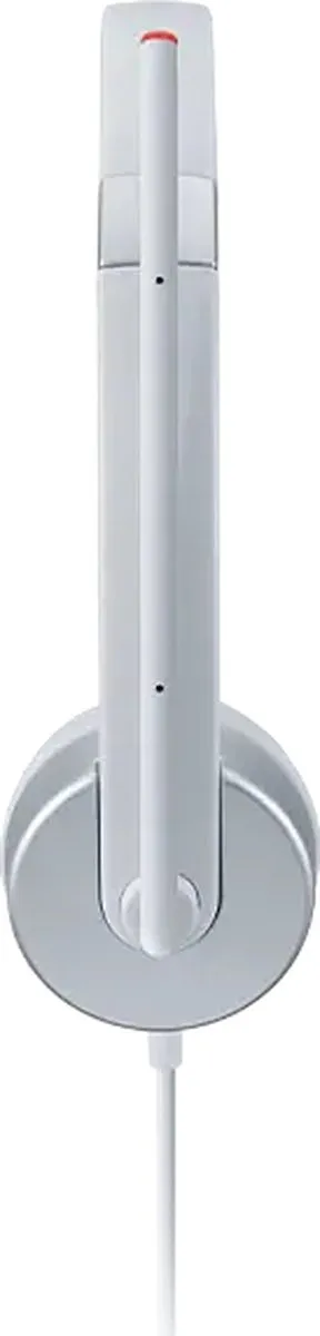 Lenovo 100 GXD1E71386 Headset - Zwart