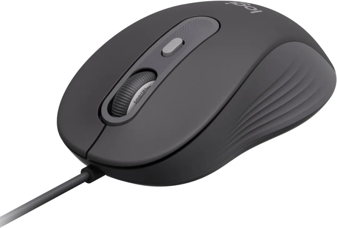 Logitech Muis 910-007511 - 4000 dpi - Grafiet
