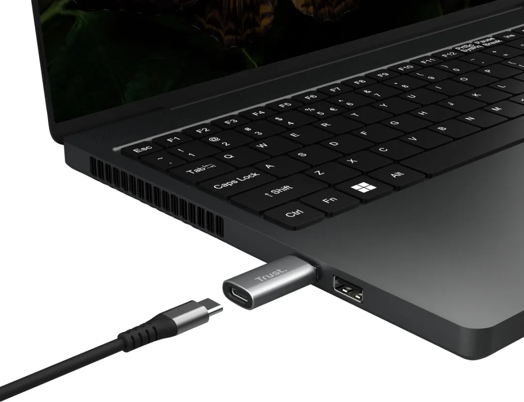Trust Calyx USB-A naar USB-C Adapter - 2 Stuks - Zilver