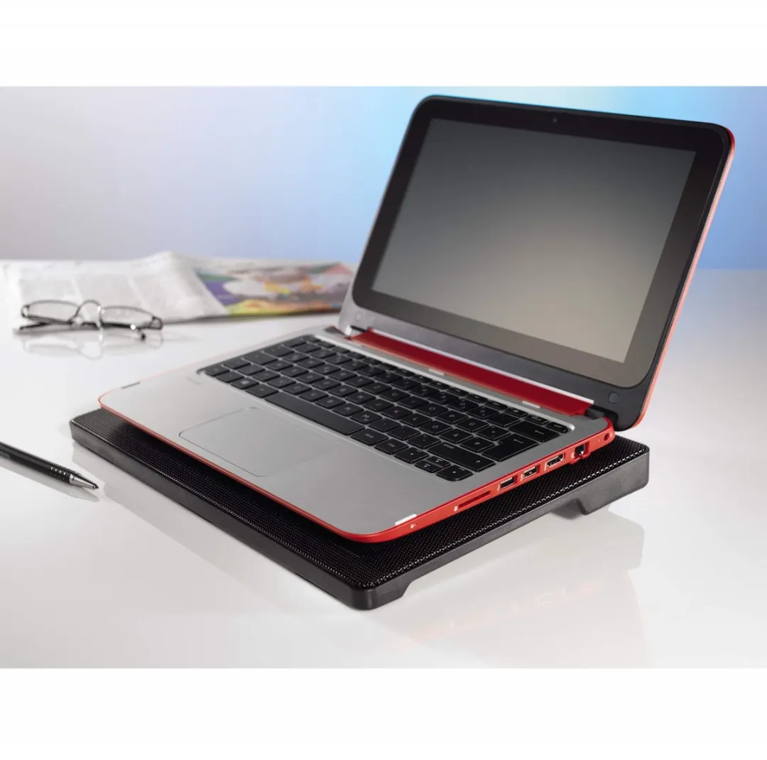 Hama 00053067 Notebook Cooler - 2x 14cm Ventilatoren - Zwart