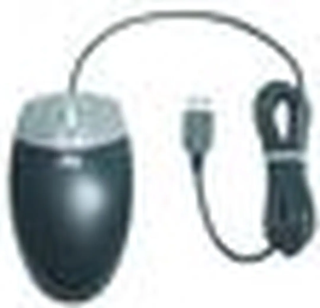 HP DC172B Ambidextrous Optische Muis