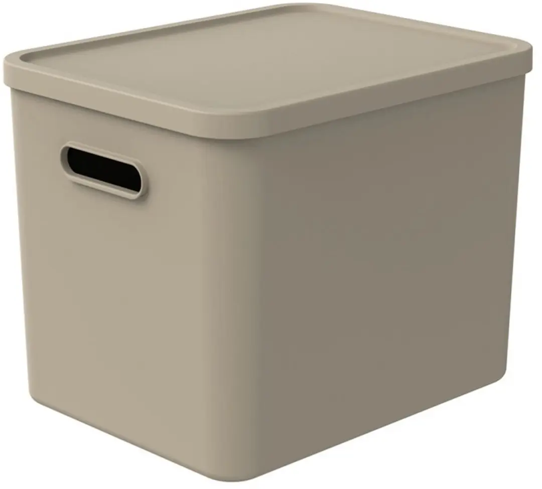 Rotho Albula Multibox 27L