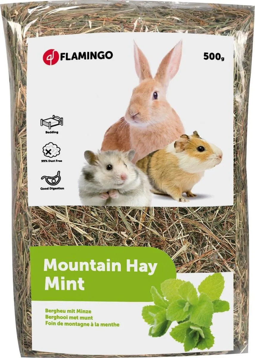 Flamingo Berghooi met Mint