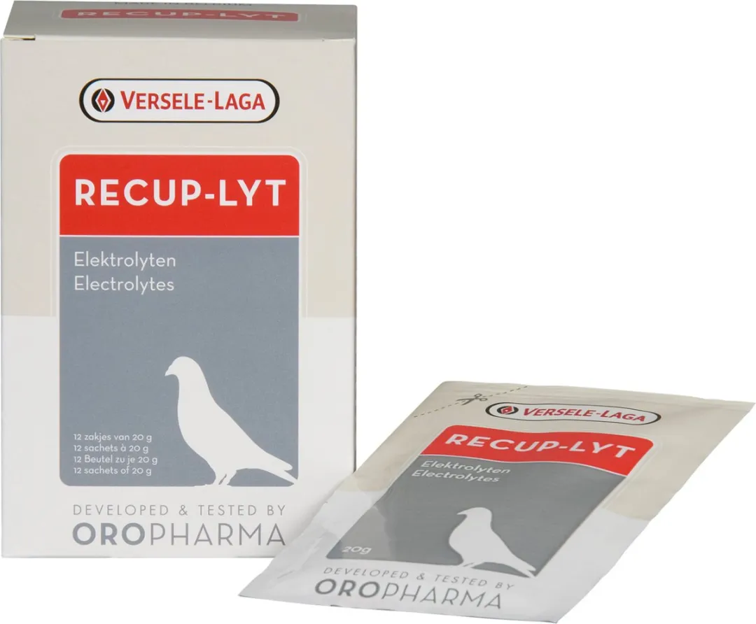 Versele-Laga Recup-Lyte
