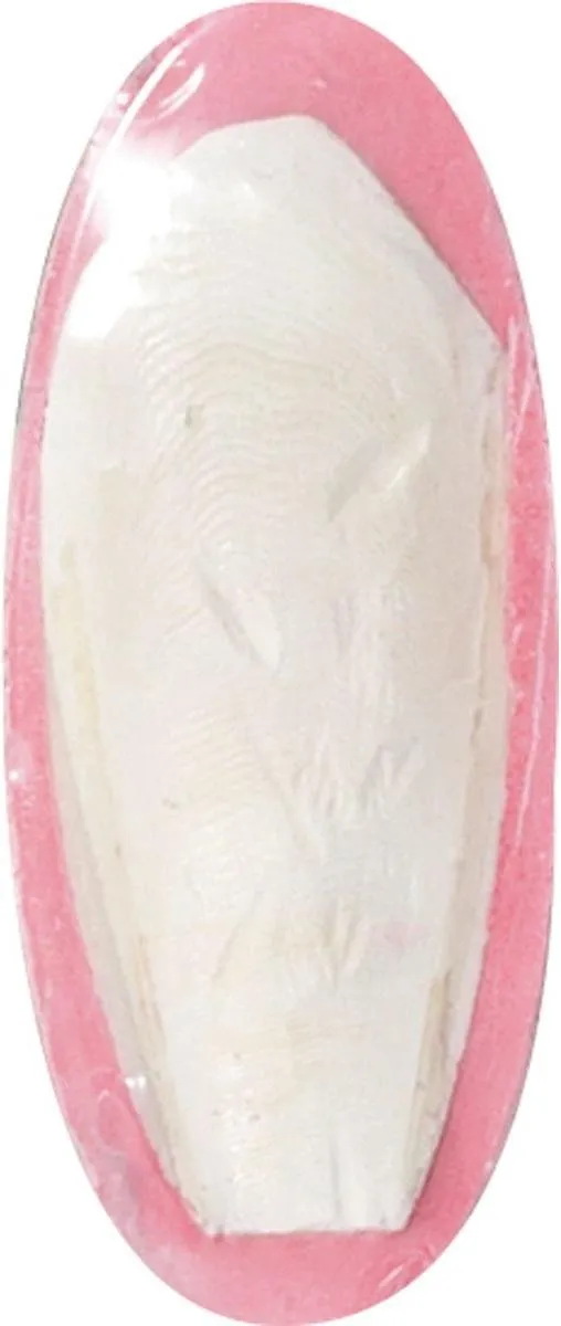 Flamingo Sepia Schelp Vogelaccessoire 12cm