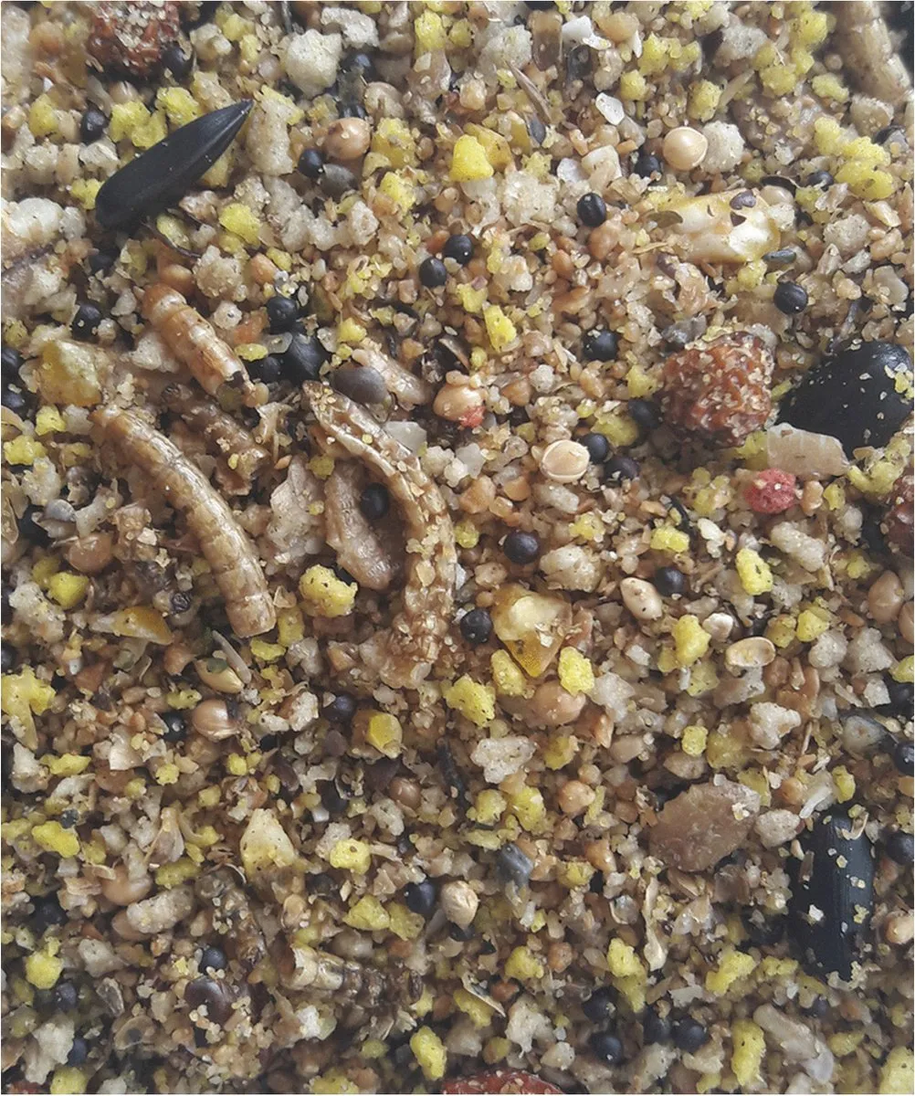 Versele-Laga Menu Nature Strooivoer Nesting 2,5 kg