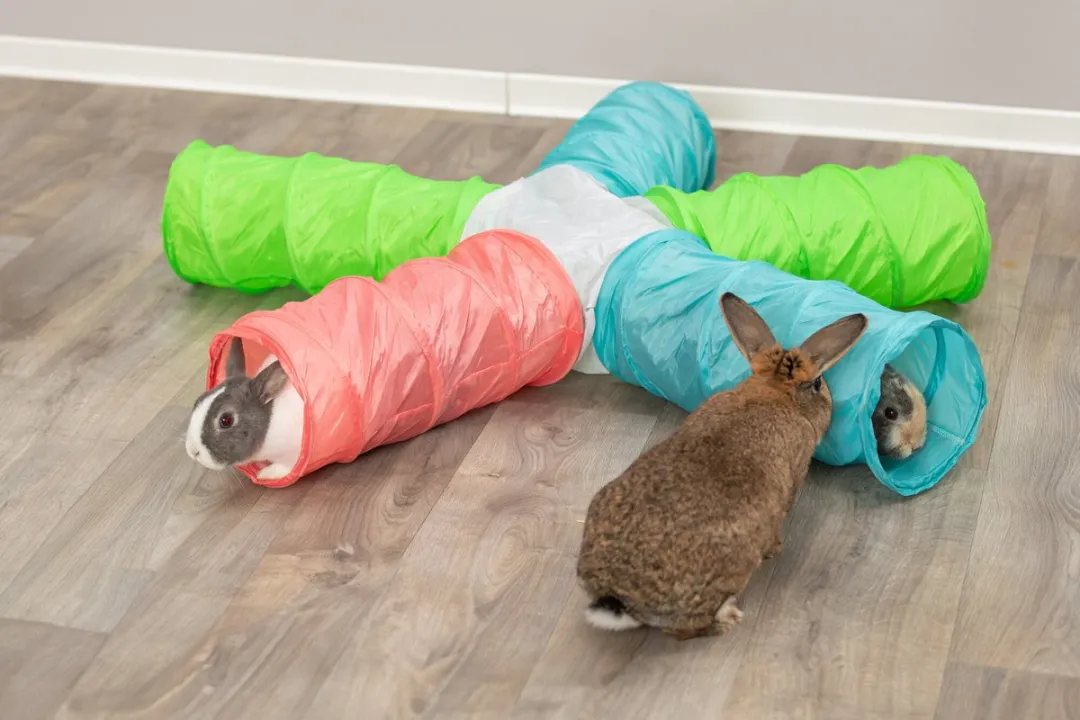 Trixie Speeltunnel 5 Gang - Cavia/Dwergkonijn 47x47x18cm - Multi