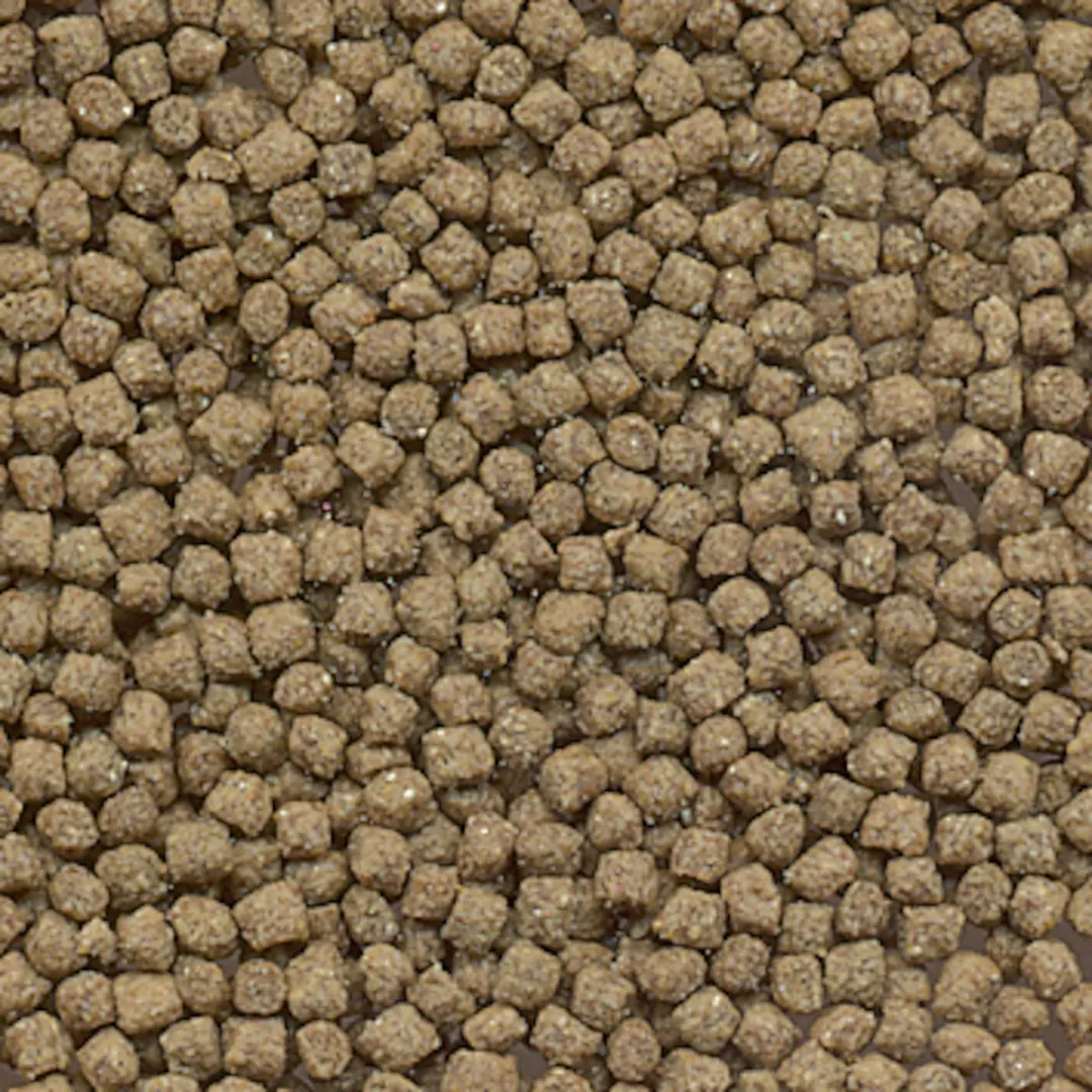 Flamingo Schildpad Korrelvoer - 1000