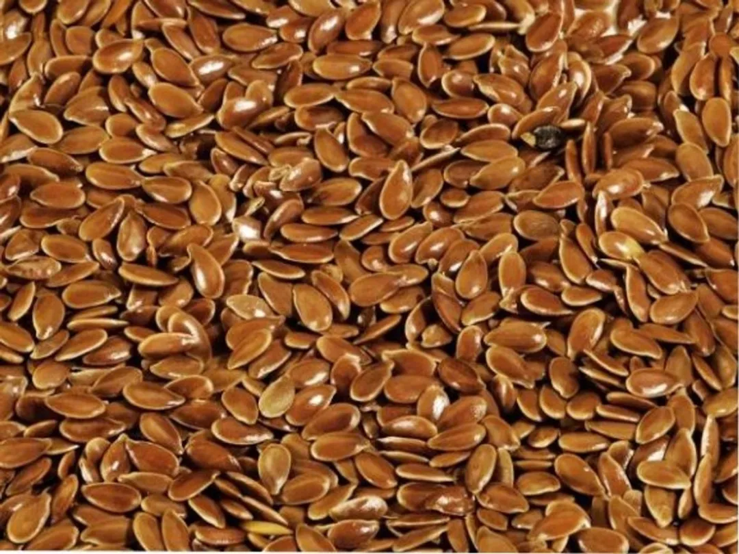 Versele-Laga Lijnzaad Vogelvoer 25kg