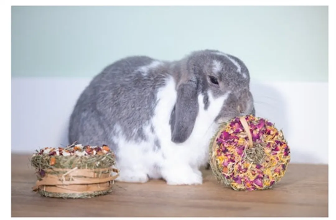 Beeztees Hooi Donut Roos & Goudsbloem
